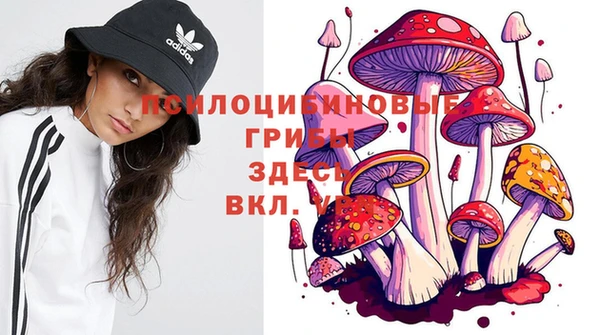 ПСИЛОЦИБИНОВЫЕ ГРИБЫ Балабаново