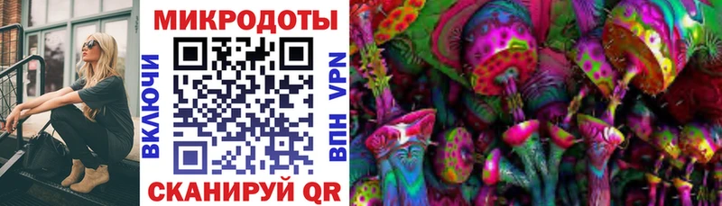 Купить закладки  Надым  Галлюциногенные грибы Magic Shrooms 