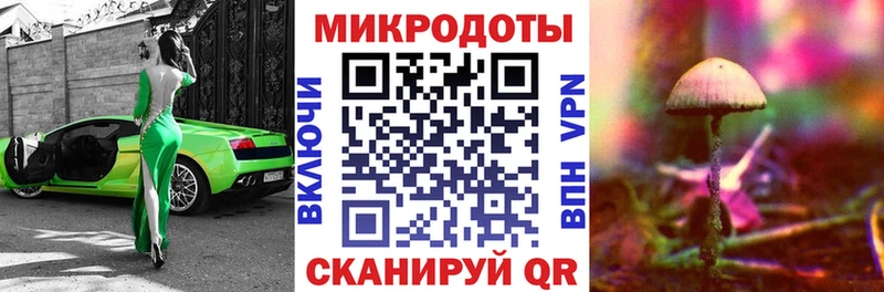 Галлюциногенные грибы прущие грибы Надым