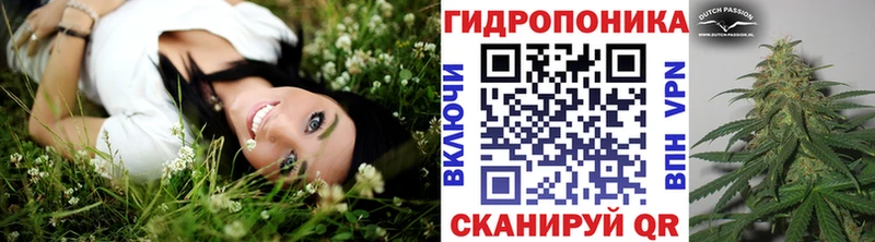 Канабис марихуана Надым